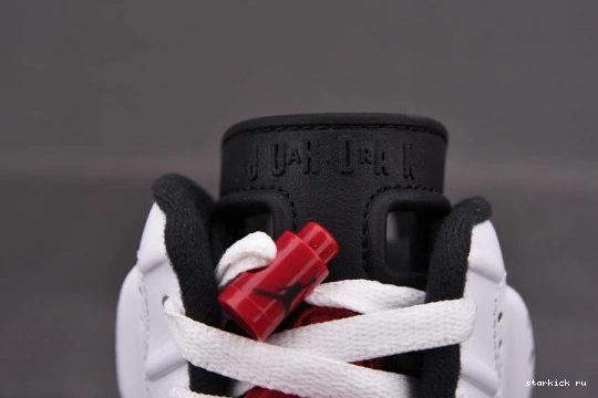 Carmine Retro 6 CT8529-106 (2021) Jordan CT8529-106 Air 0412